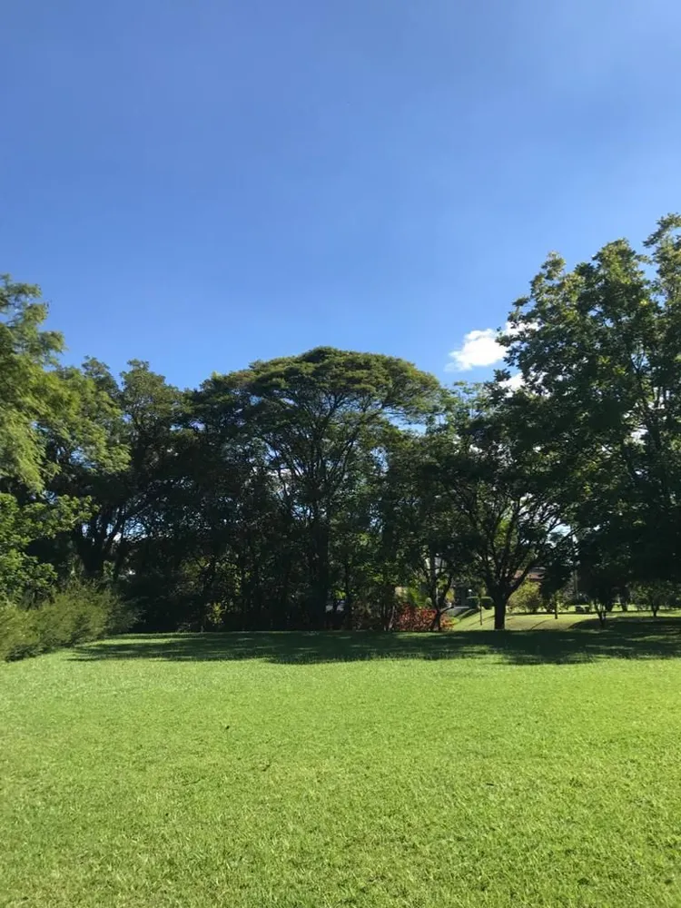 Loteamento e Condomínio, 4000 m² - Foto 1