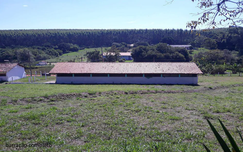 Sítio, 2 quartos, 2 hectares - Foto 12