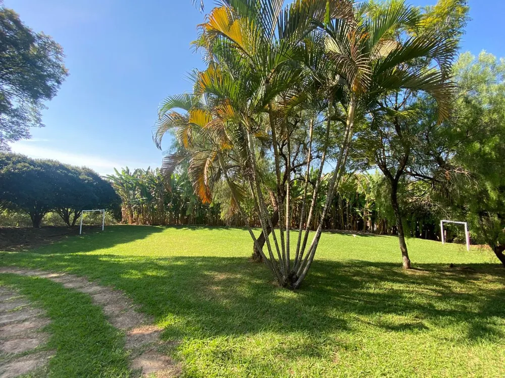 Chácara, 4 quartos, 10000 m² - Foto 10