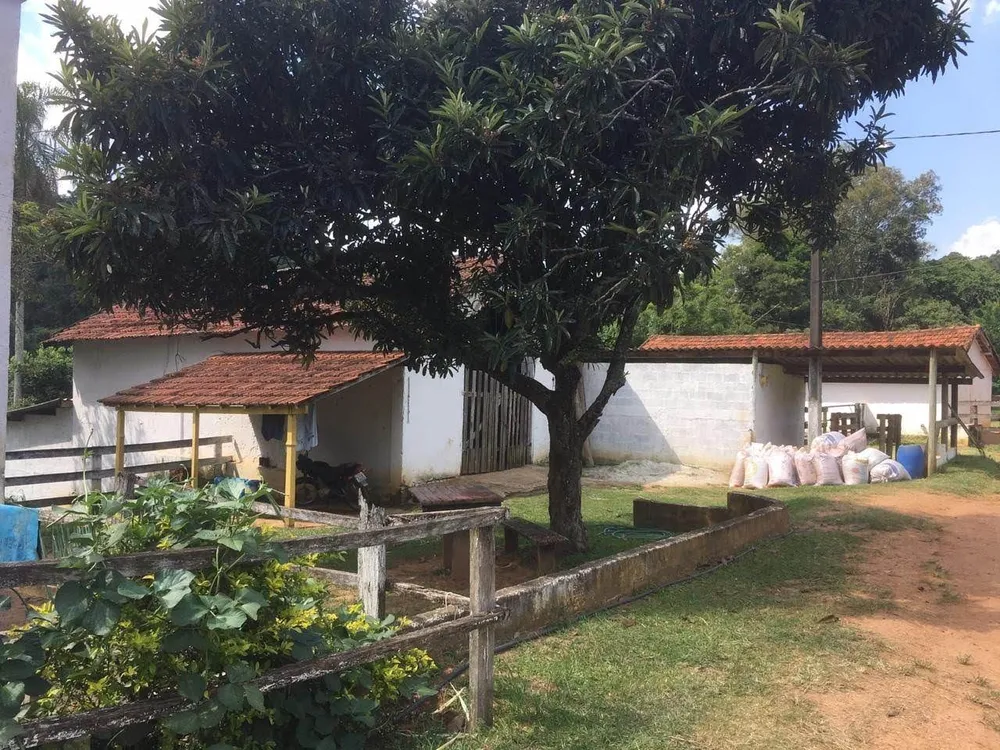 Fazenda, 7 hectares - Foto 4