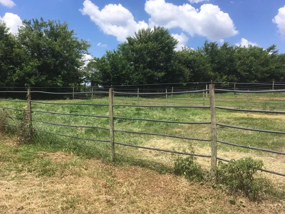 Fazenda, 7 hectares - Foto 6