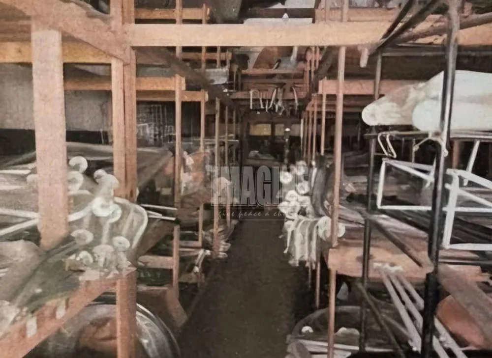 Depósito-Galpão, 492 m² - Foto 2