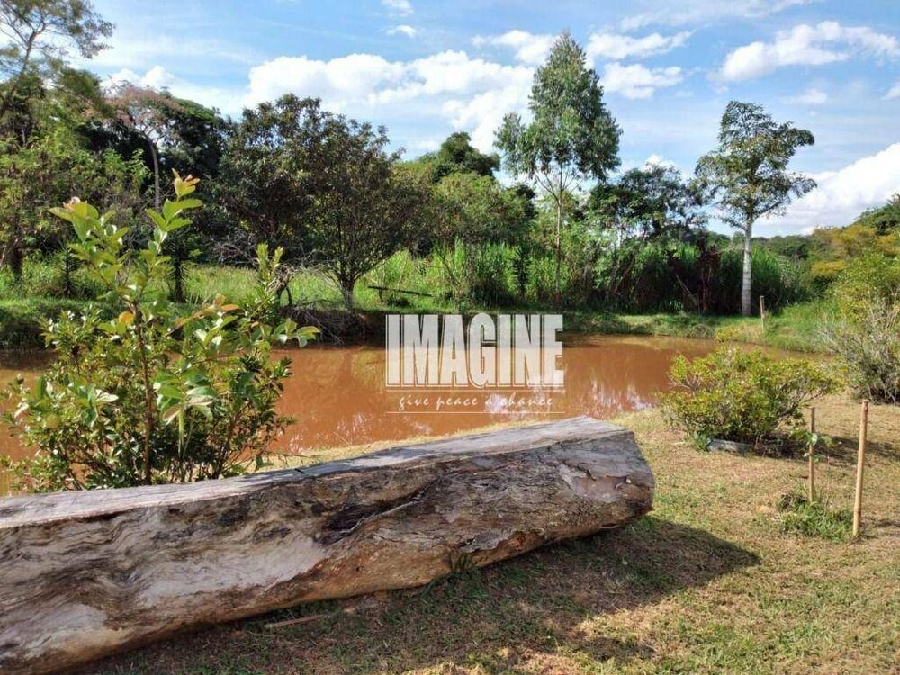 Terreno, 3 hectares - Foto 4
