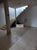 Sobrado, 2 quartos, 180 m² - Foto 14