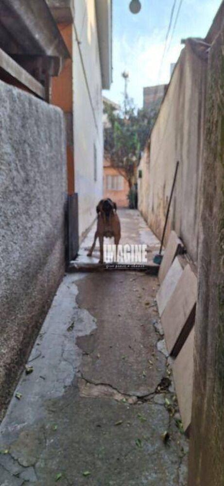 Sobrado, 3 quartos, 200 m² - Foto 20