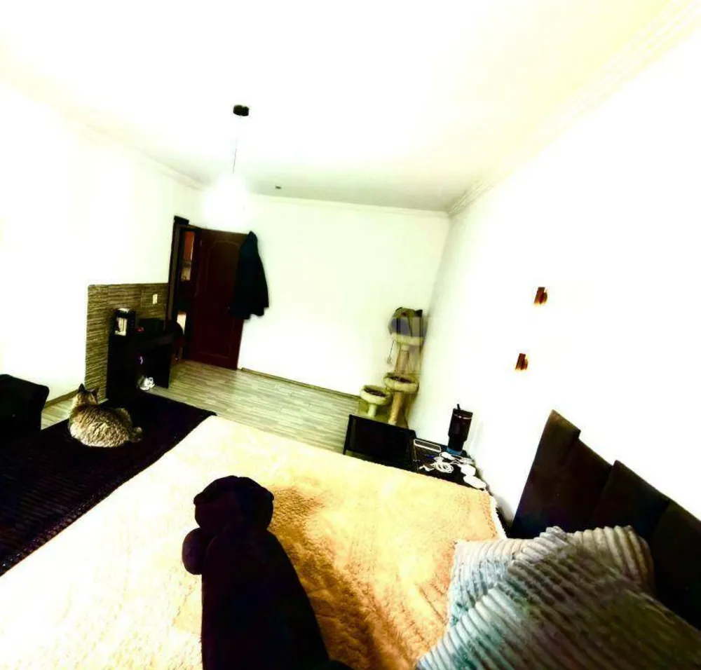 Casa, 3 quartos, 250 m² - Foto 9