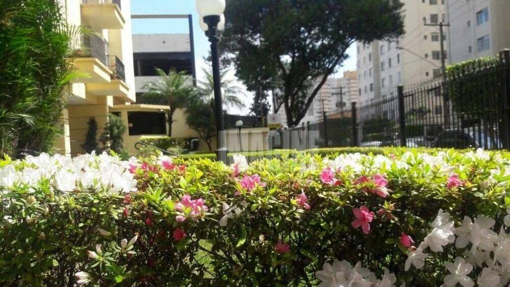 Apartamento, 3 quartos, 75 m² - Foto 16