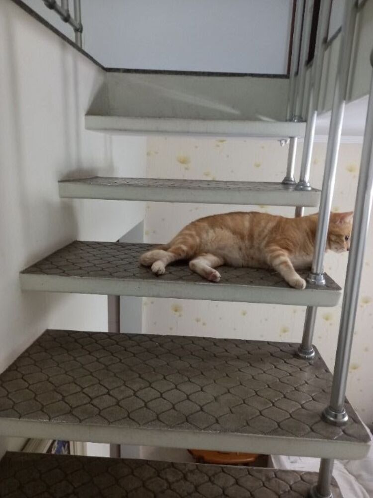 Sobrado, 4 quartos, 228 m² - Foto 15