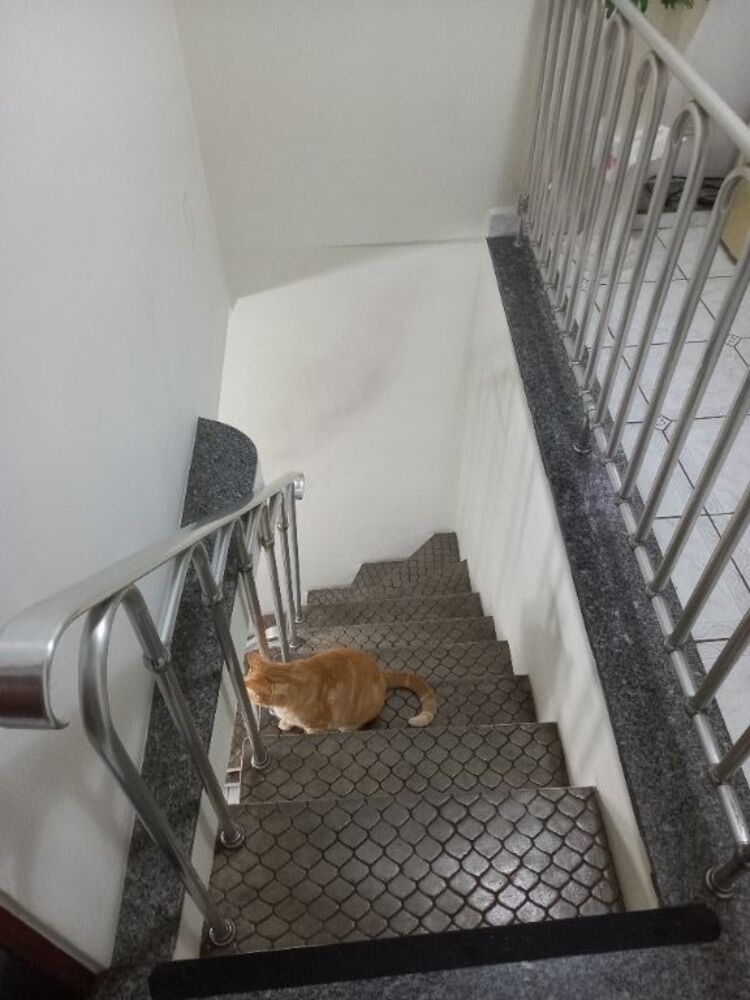 Sobrado, 4 quartos, 228 m² - Foto 14