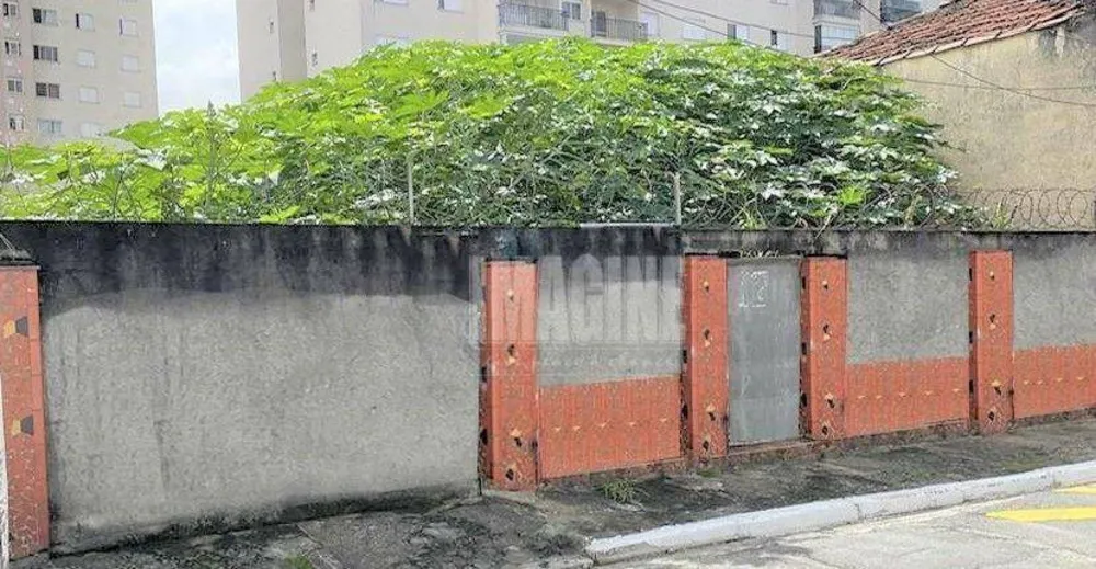 Terreno, 240 m² - Foto 5