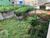 Terreno, 305 m² - Foto 5