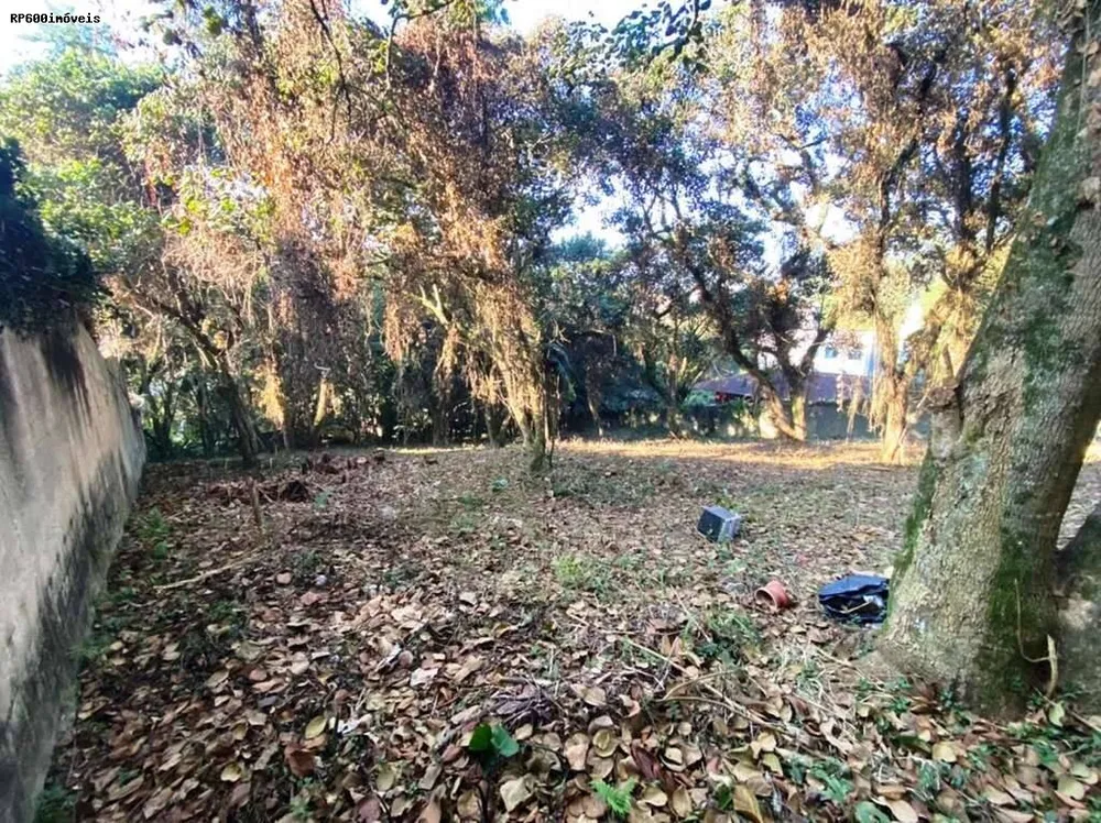 Terreno, 2334 m² - Foto 5