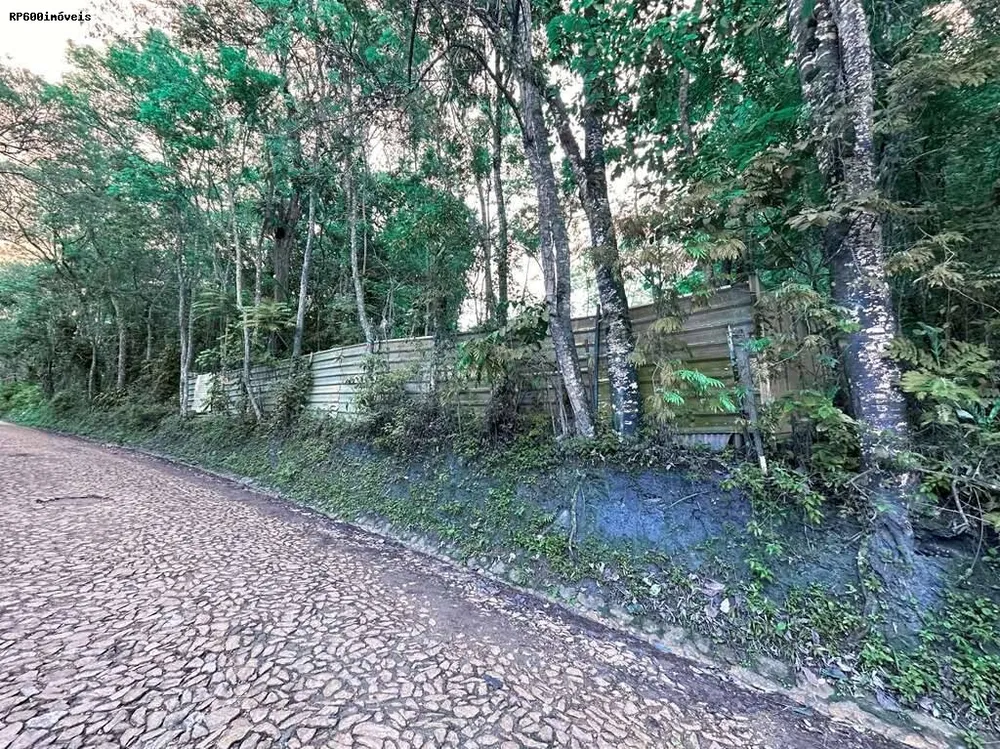 Terreno, 1000 m² - Foto 3