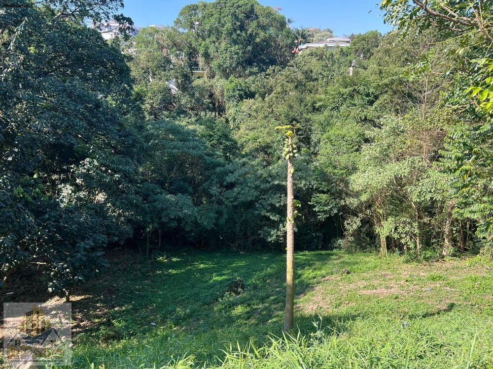 Terreno, 450 m² - Foto 4