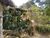 Terreno, 2600 m² - Foto 3