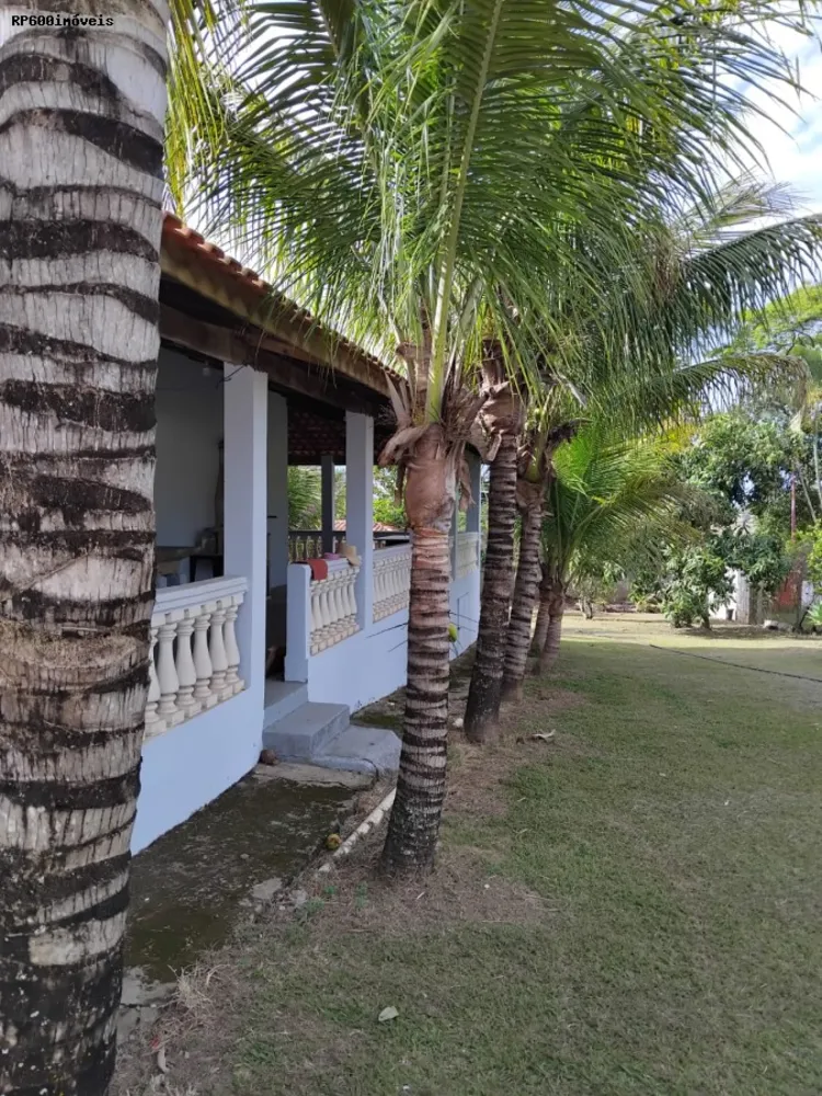 Chácara, 3 quartos, 2000 m² - Foto 6