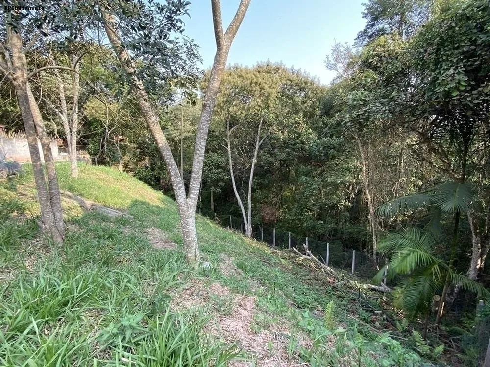 Terreno, 622 m² - Foto 3