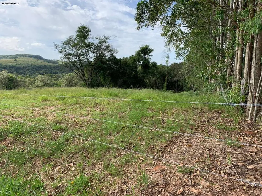 Terreno, 2 hectares - Foto 2
