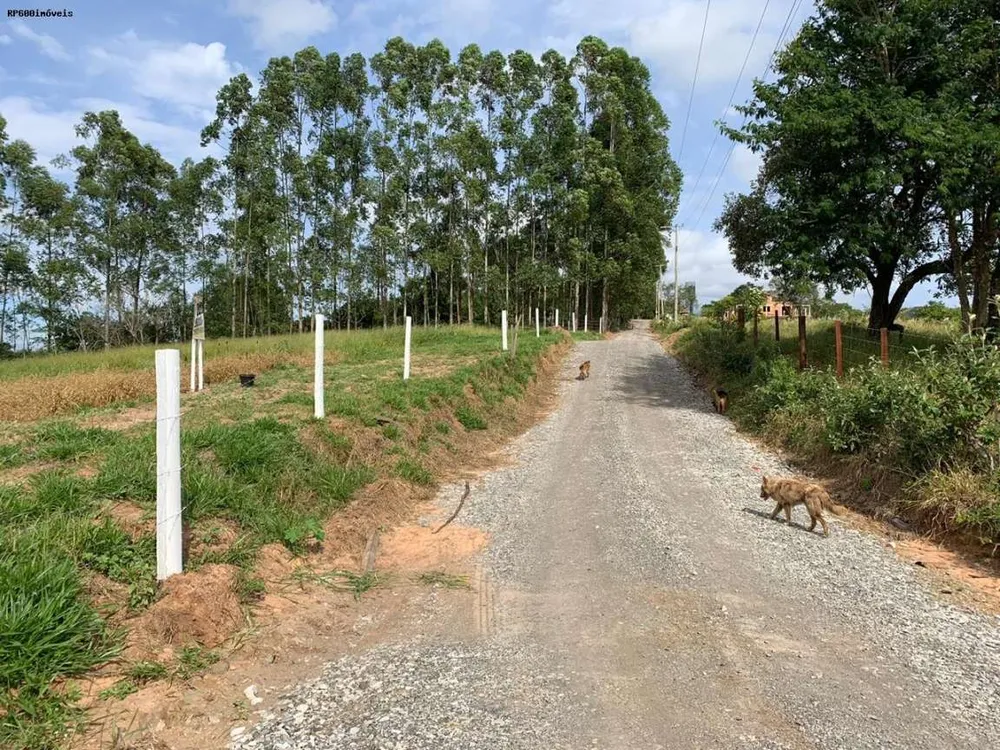 Terreno, 2 hectares - Foto 1