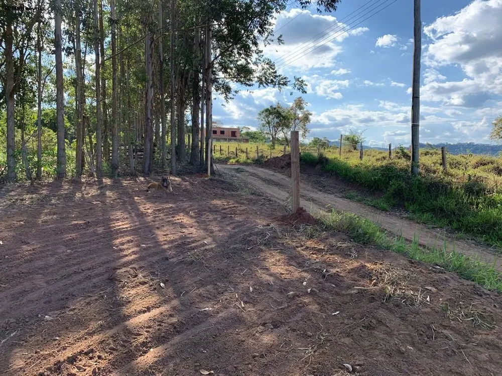 Terreno, 2 hectares - Foto 3
