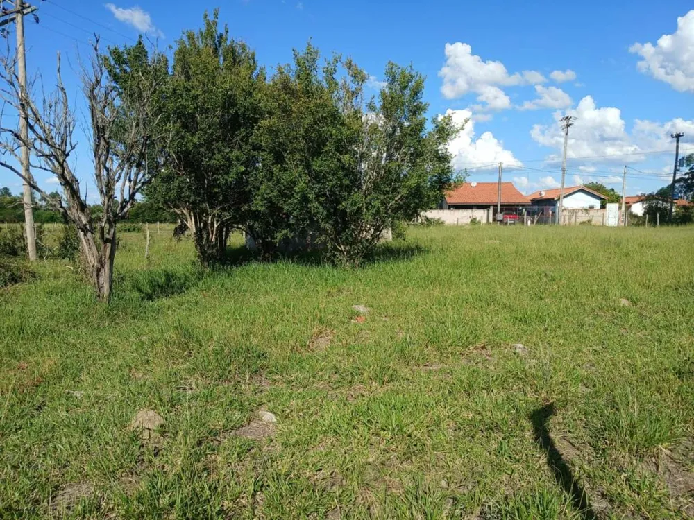Sítio, 3 quartos, 2 hectares - Foto 12