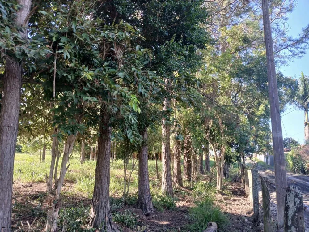 Sítio, 3 quartos, 2 hectares - Foto 8