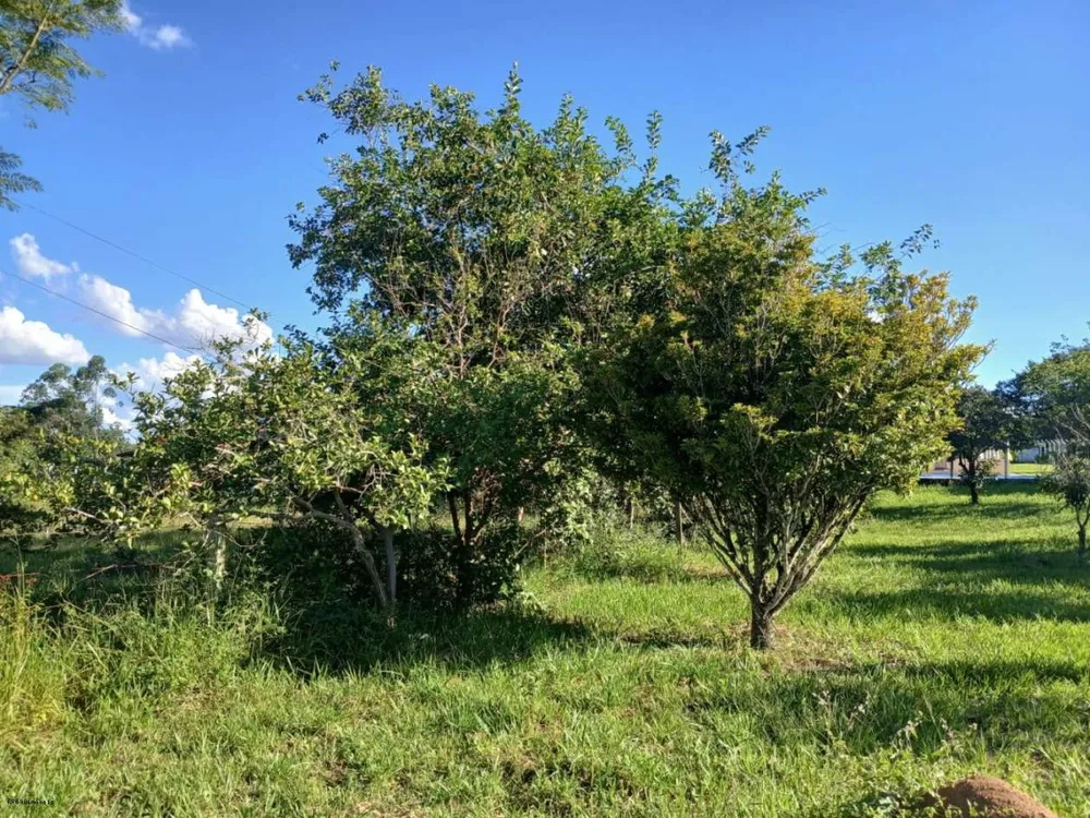 Sítio, 3 quartos, 2 hectares - Foto 10