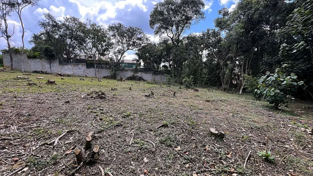 Terreno, 1575 m² - Foto 4