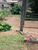 Terreno, 355 m² - Foto 3