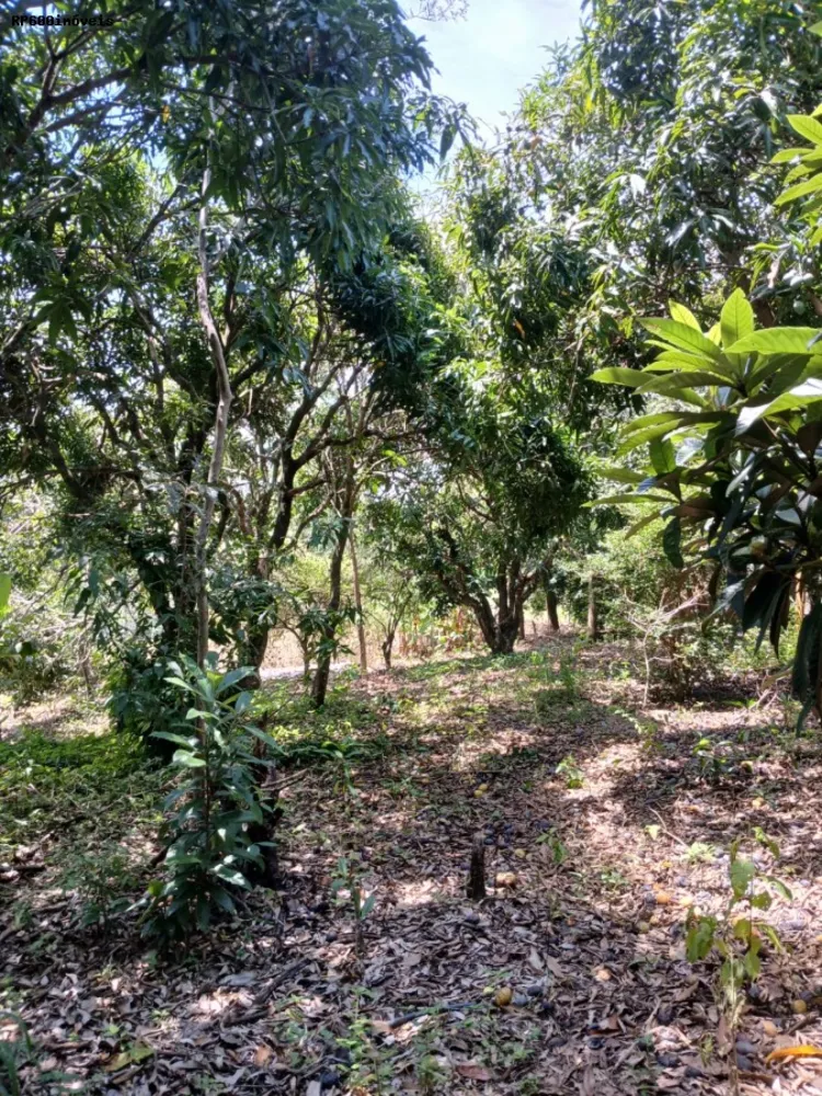 Chácara, 3 quartos, 2 hectares - Foto 8