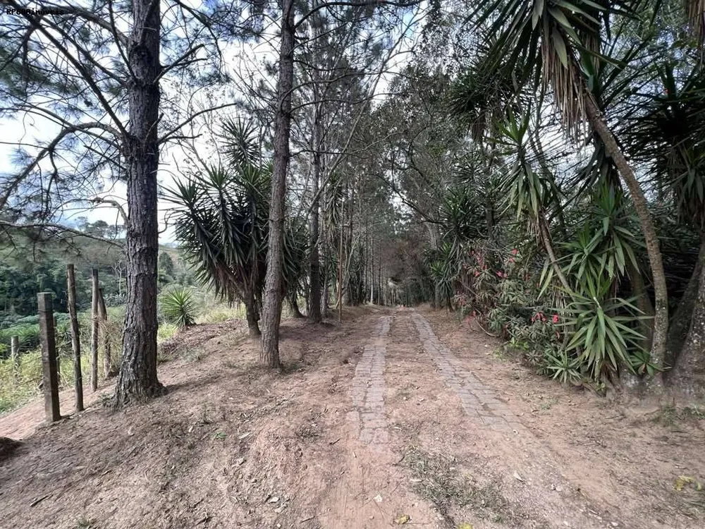 Terreno, 2 hectares - Foto 4