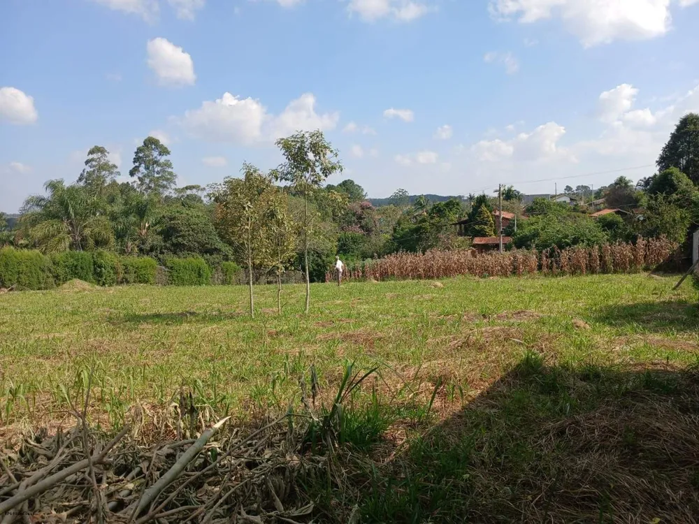 Terreno, 2400 m² - Foto 2