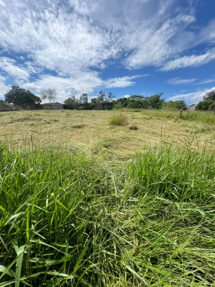 Terreno, 2400 m² - Foto 1