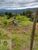 Terreno, 750 m² - Foto 2
