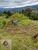 Terreno, 750 m² - Foto 1