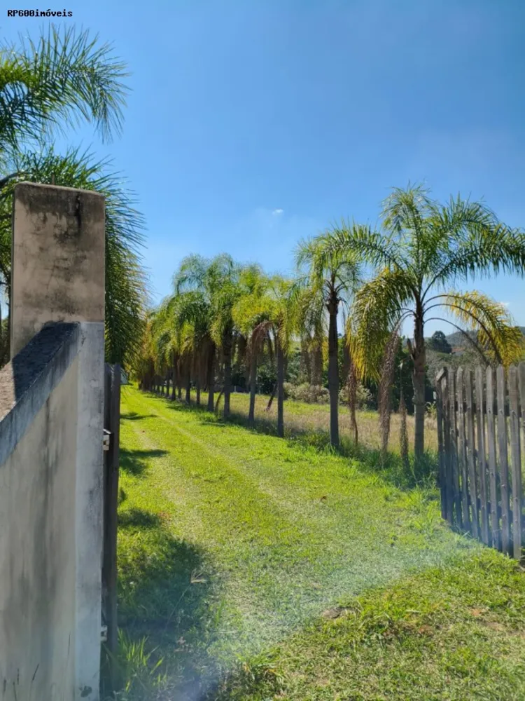 Chácara, 4 quartos, 2 hectares - Foto 12