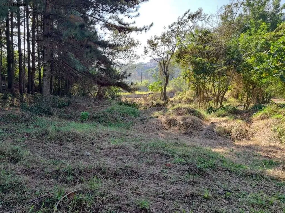 Terreno, 1420 m² - Foto 4