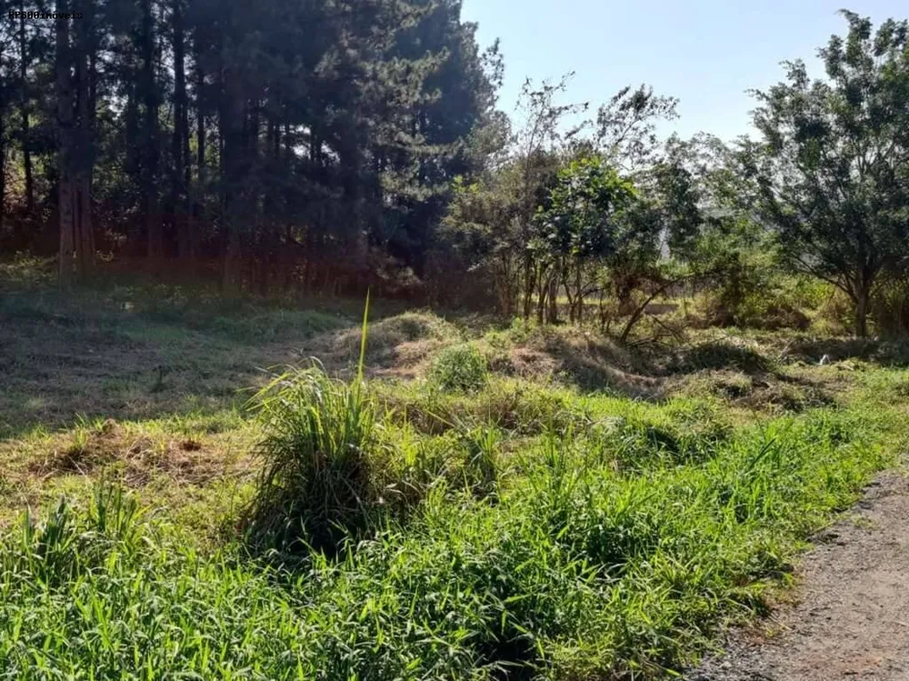 Terreno, 1420 m² - Foto 10