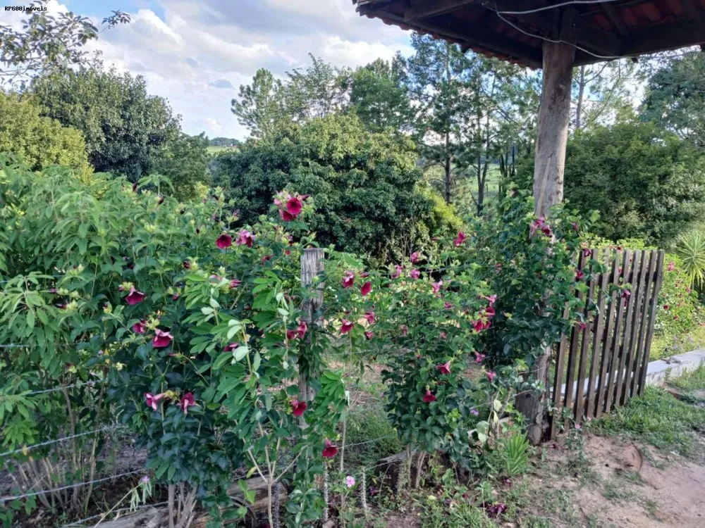 Chácara, 4 quartos, 2 hectares - Foto 7