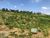 Terreno, 140 m² - Foto 7
