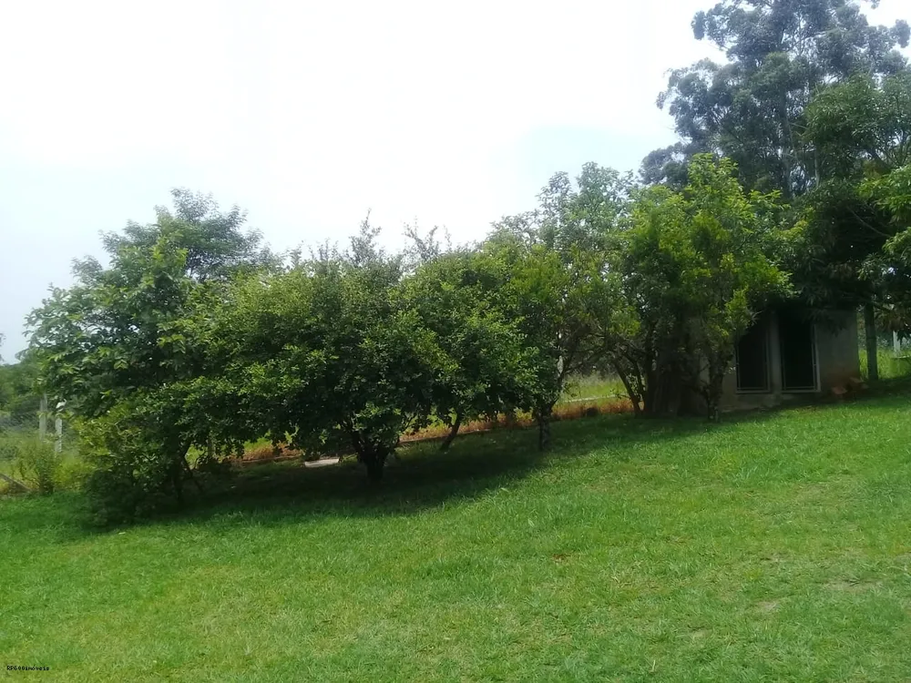 Chácara, 2 quartos, 8000 m² - Foto 2