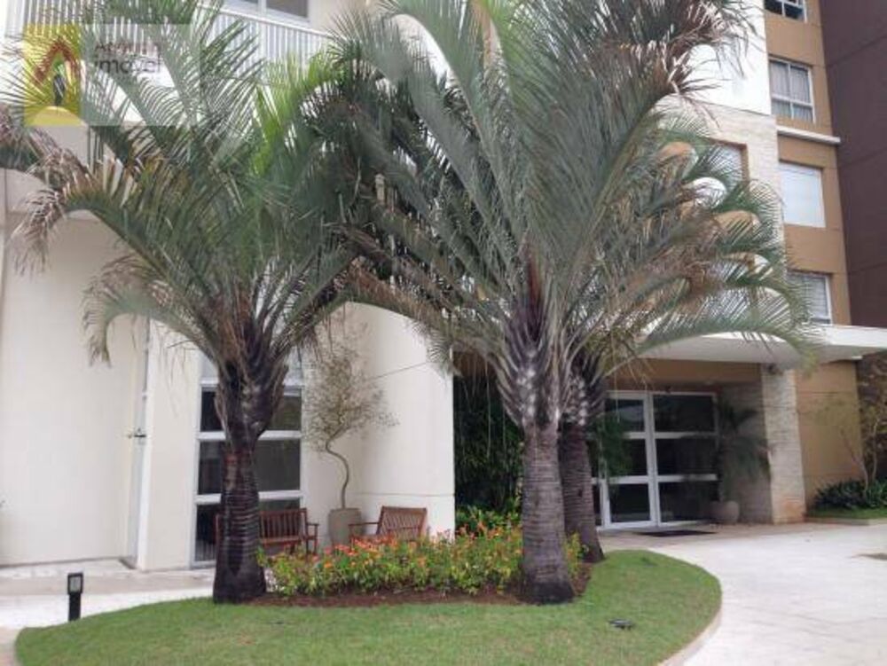Cobertura, 2 quartos, 315 m² - Foto 56