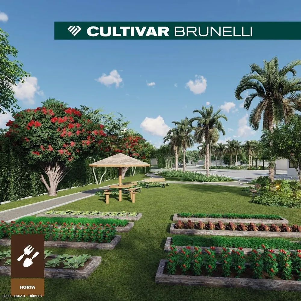 Terreno, 250 m² - Foto 5