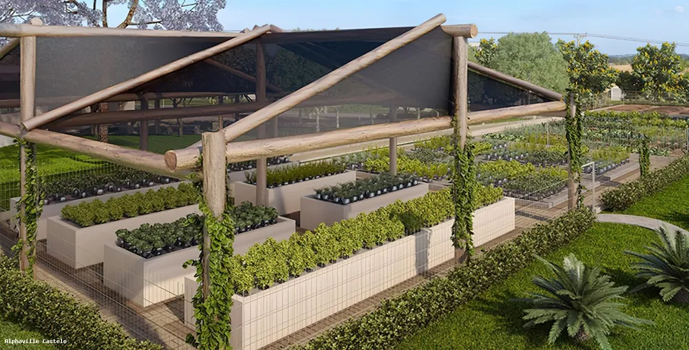 Terreno, 307 m² - Foto 9