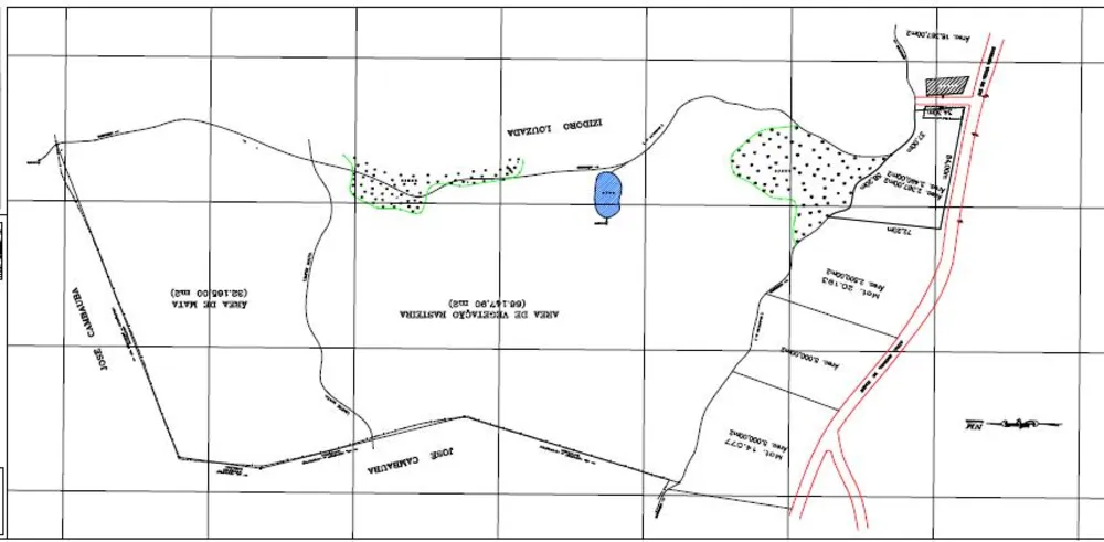 Terreno, 10 hectares - Foto 7