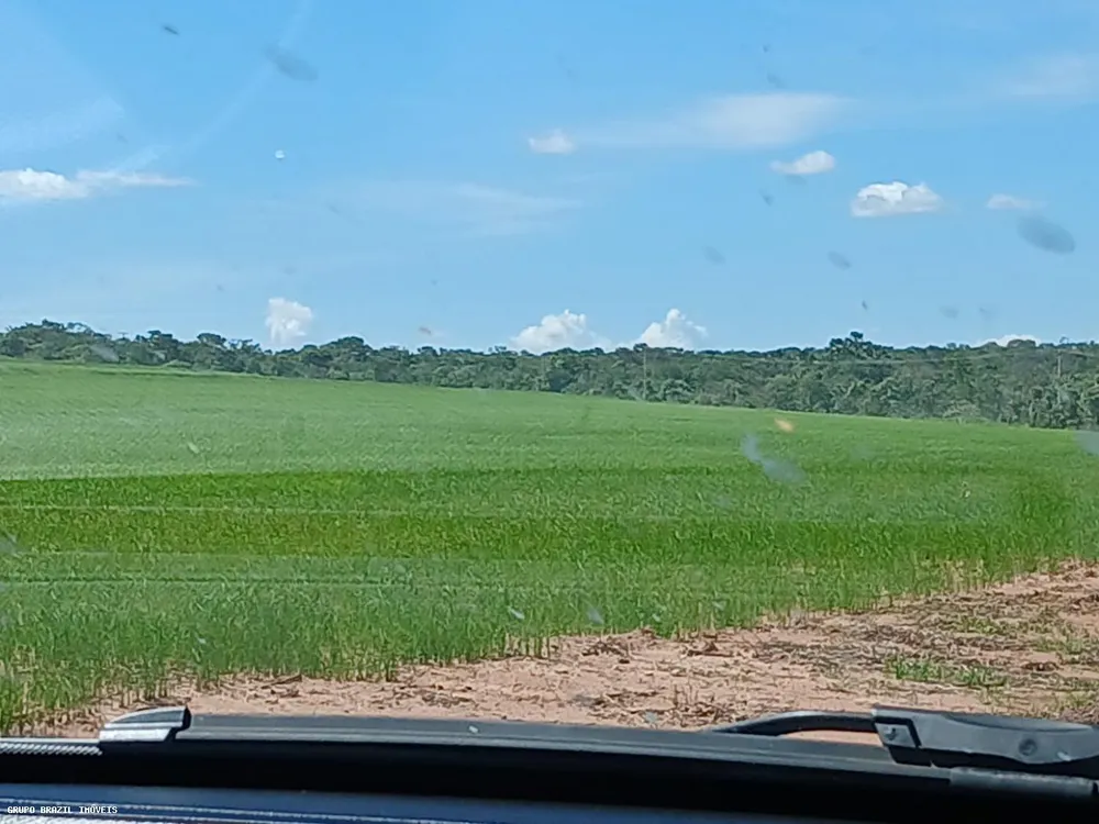 Fazenda, 385 hectares - Foto 8