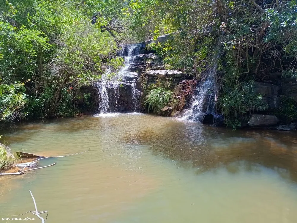 Fazenda, 385 hectares - Foto 1