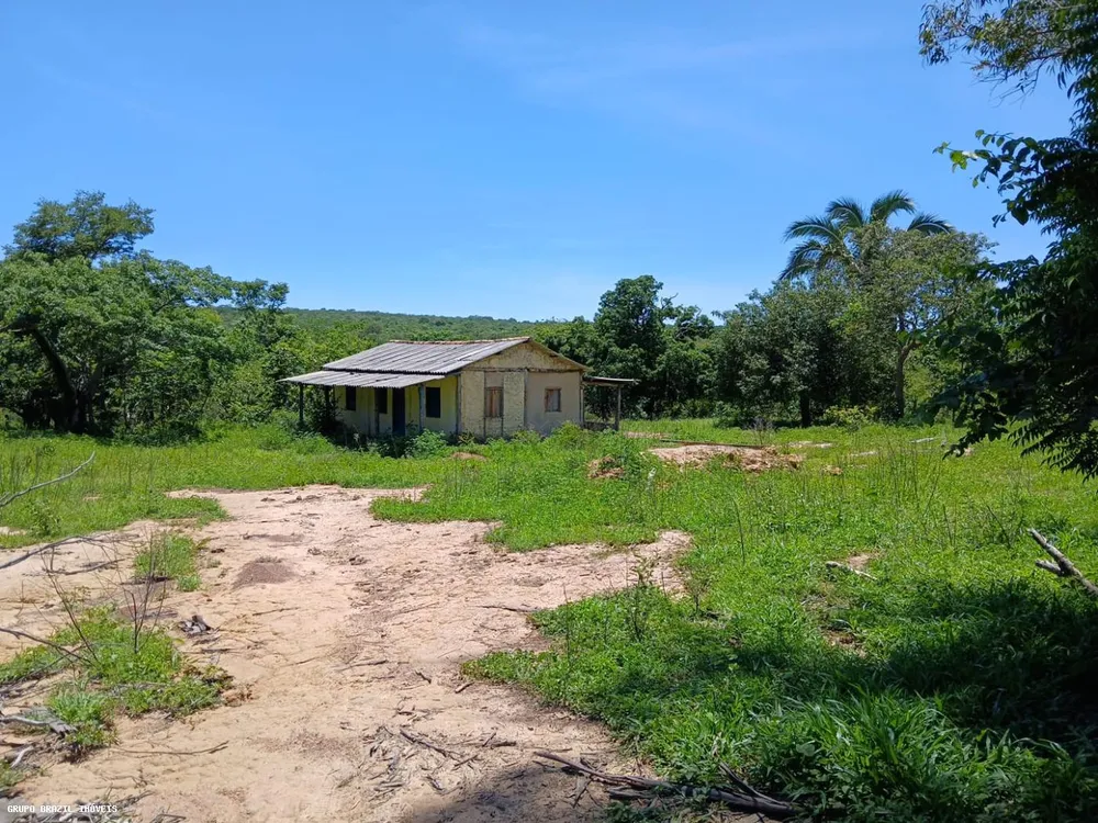 Fazenda, 385 hectares - Foto 2