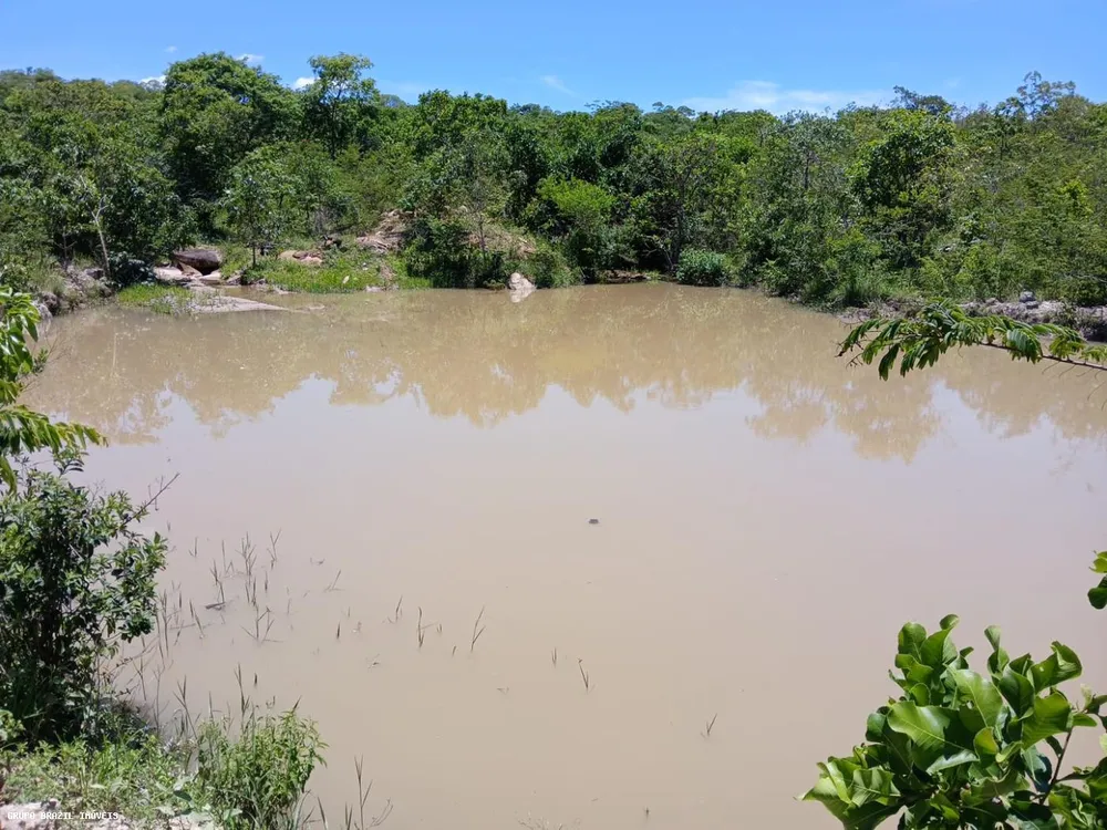 Fazenda, 385 hectares - Foto 3
