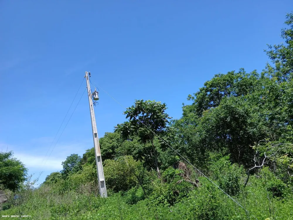 Fazenda, 385 hectares - Foto 6